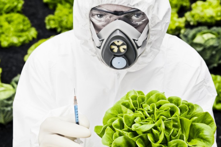Un agriculteur malade se voit débouté par la justice face à Monsanto en France.